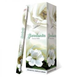 Gardenia