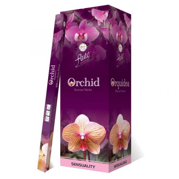 Orchid