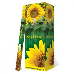 Sun Flower